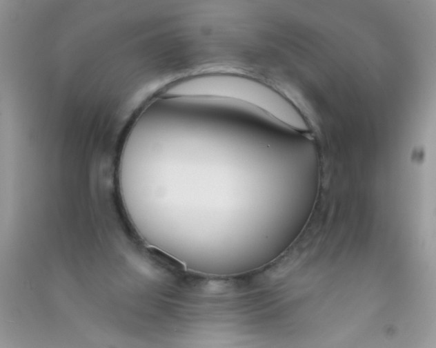 X0000090750060200708172035