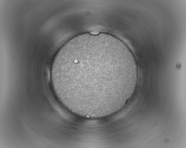 X0000090750061200708172035