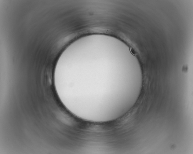 X0000090750062200708172035
