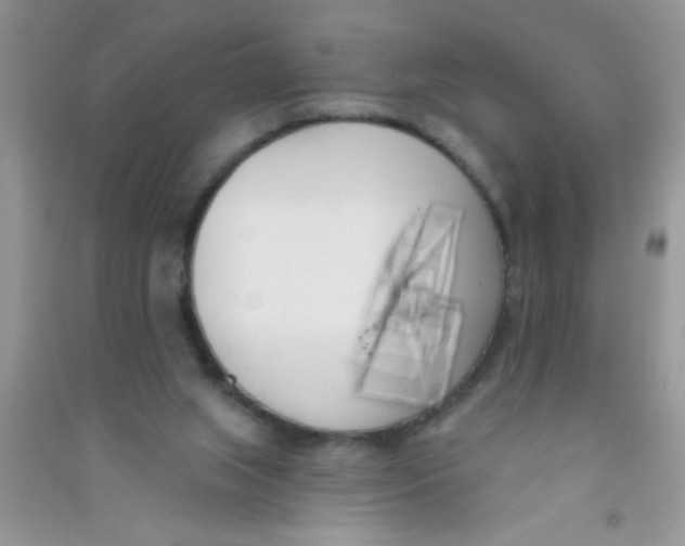 X0000090750063200708172035