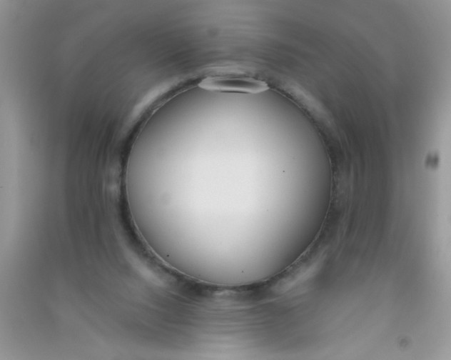 X0000090750064200708172035