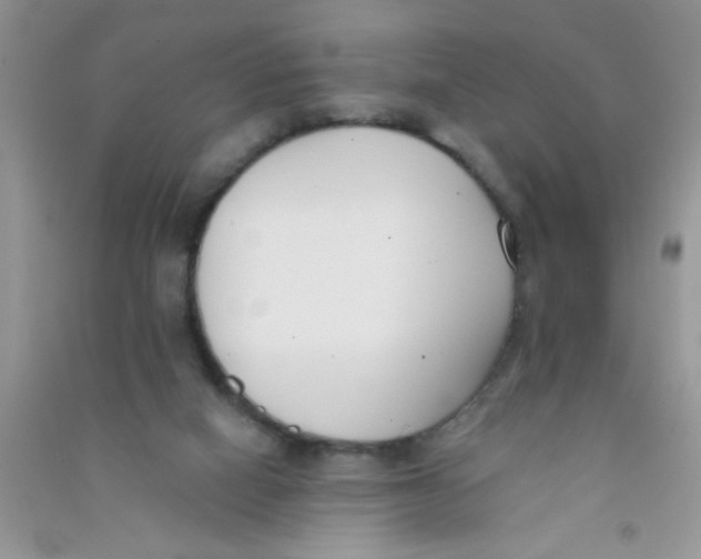 X0000090750066200708172036