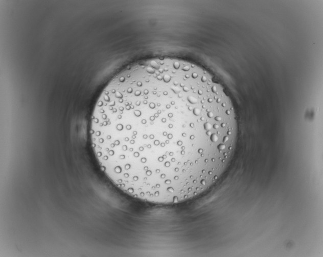 X0000090750067200708172036
