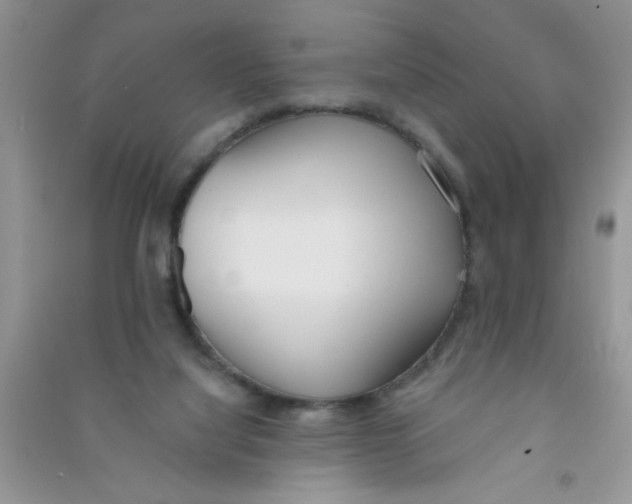 X0000090750068200708172036