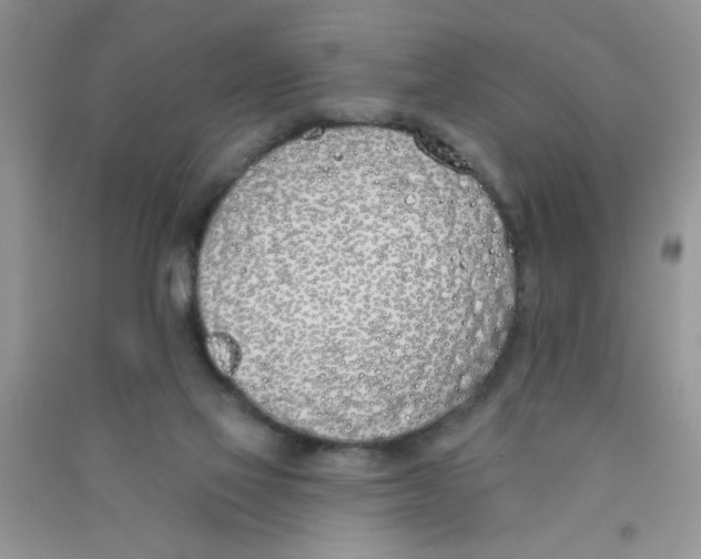 X0000090750069200708172036