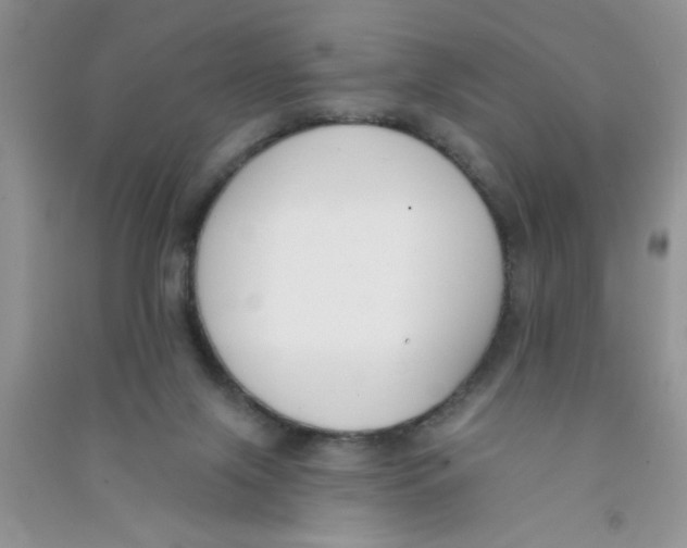X0000090750071200708172036