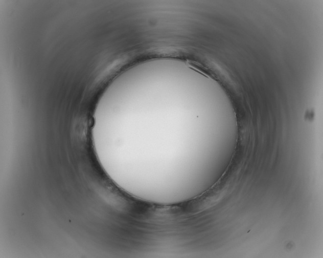 X0000090750072200708172036
