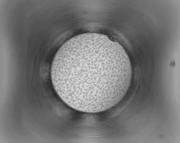 X0000090750073200708172036