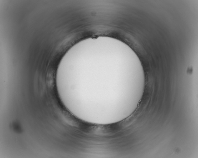 X0000090750074200708172036