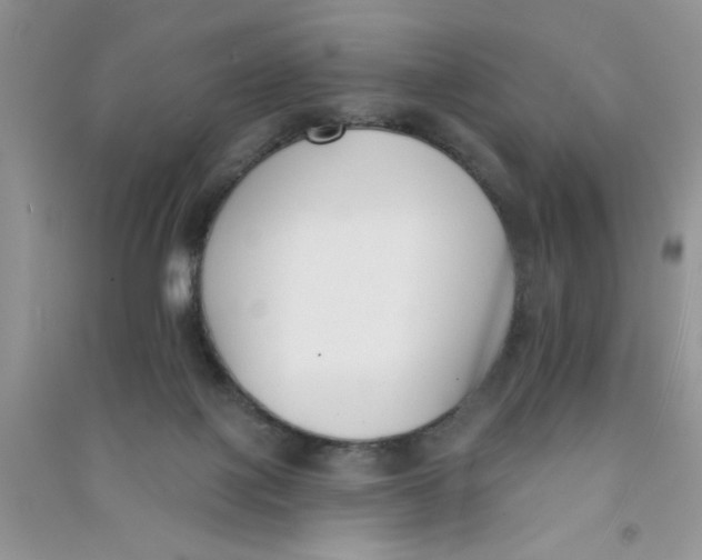 X0000090750075200708172036