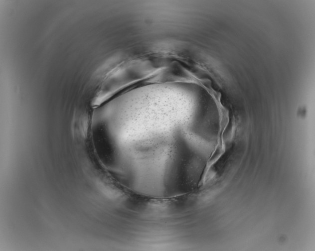 X0000090750076200708172036
