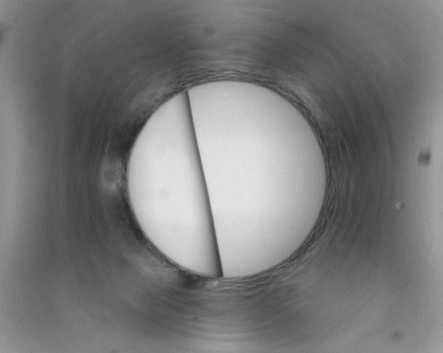 X0000090750077200708172036
