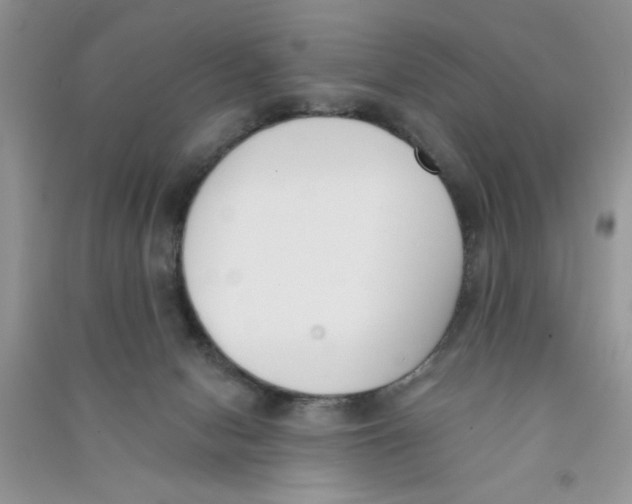 X0000090750078200708172036
