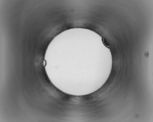 X0000090750079200708172036