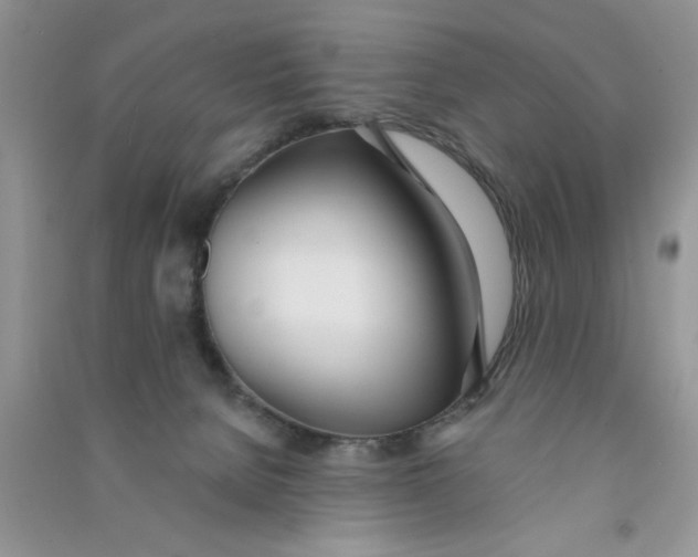 X0000090750080200708172036
