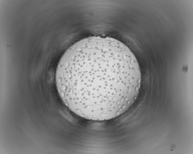 X0000090750081200708172036