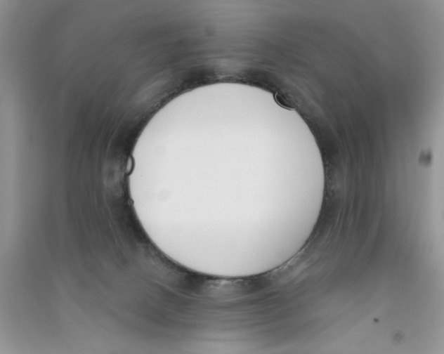 X0000090750082200708172036