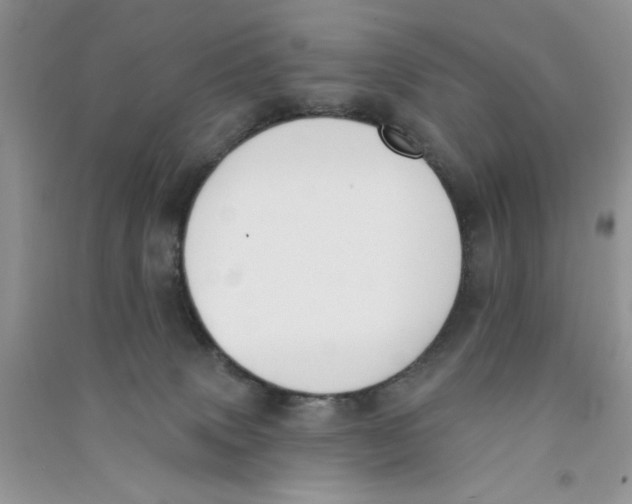 X0000090750083200708172036