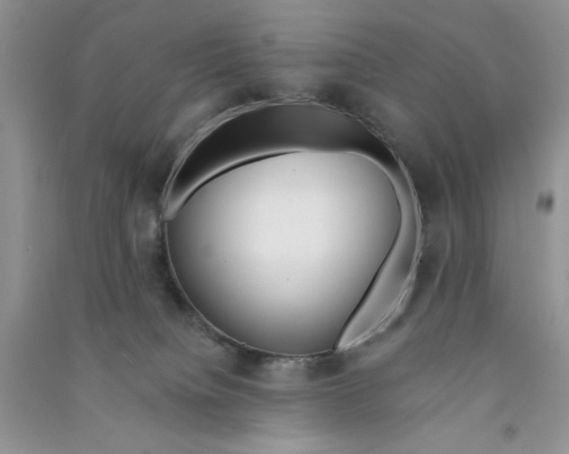 X0000090750084200708172036