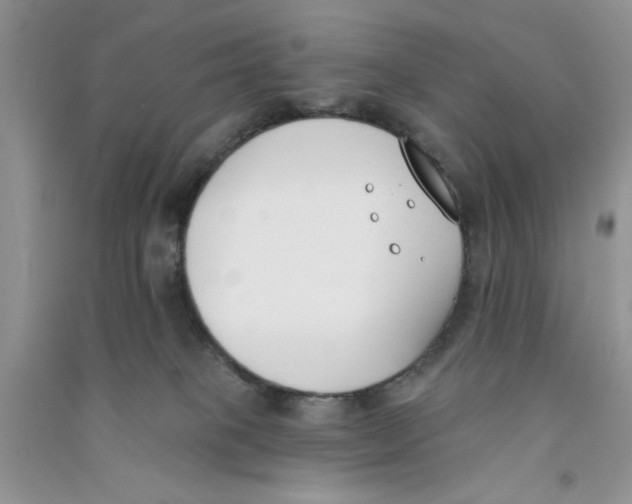 X0000090750085200708172036