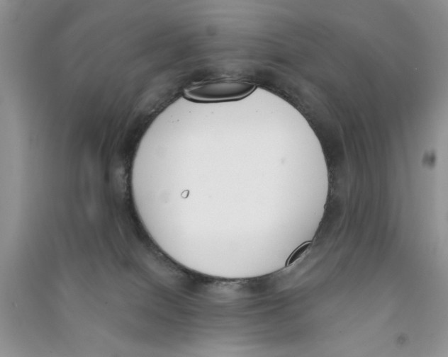 X0000090750086200708172036