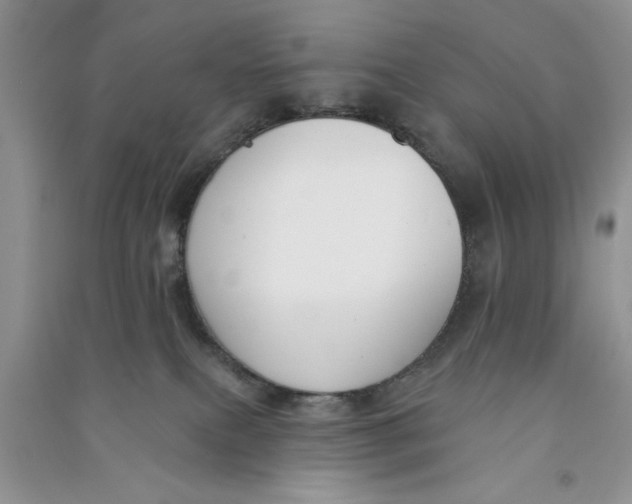 X0000090750087200708172036