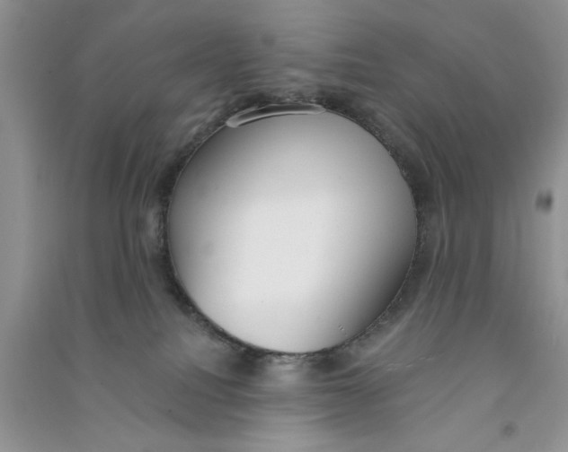 X0000090750088200708172036