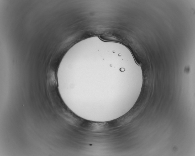 X0000090750089200708172036