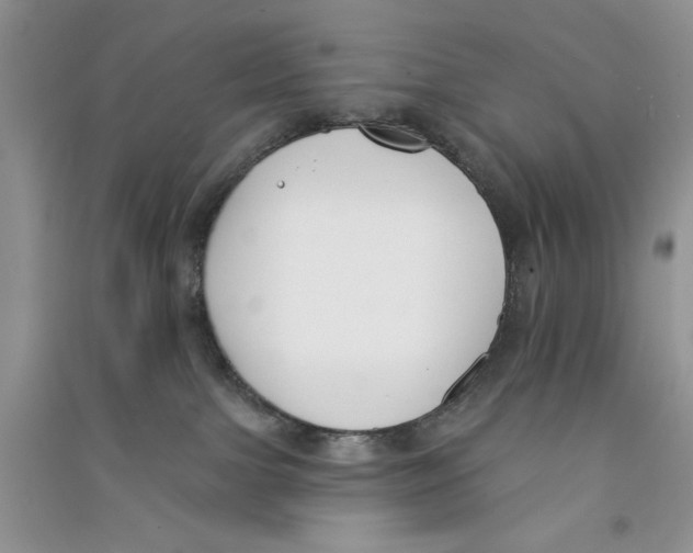 X0000090750091200708172036