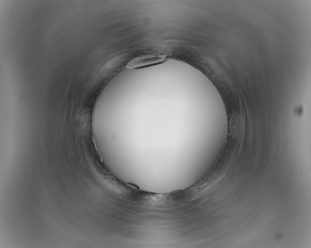 X0000090750092200708172036