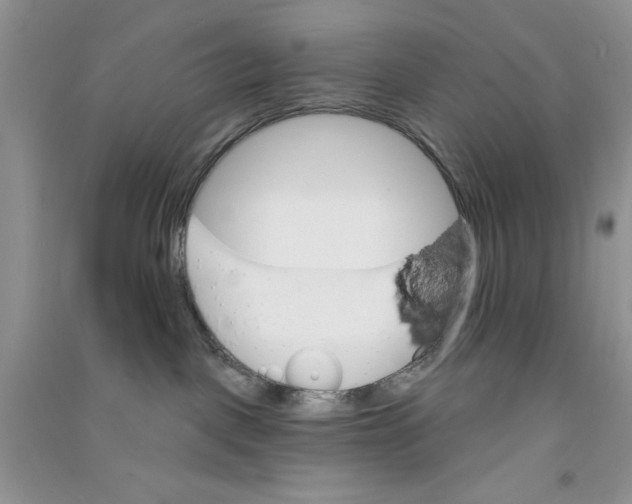X0000090750093200708172036