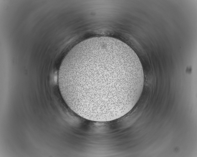 X0000090750095200708172036