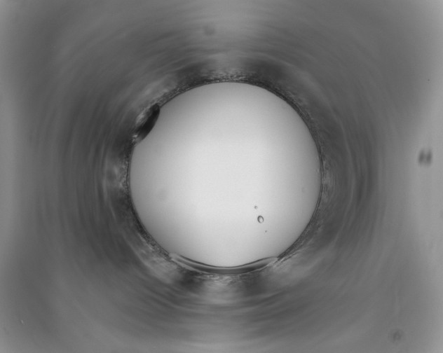 X0000090750096200708172036
