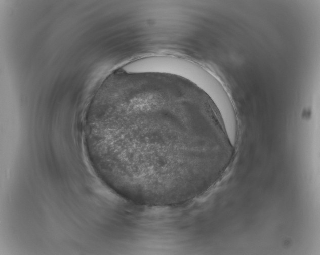 X0000090750097200708172035