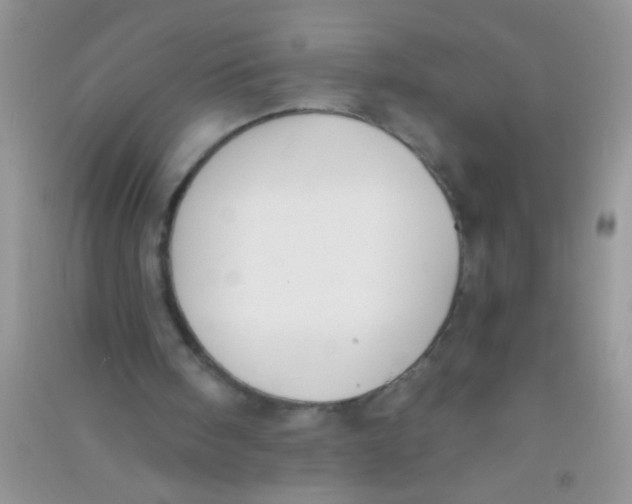 X0000090750098200708172035