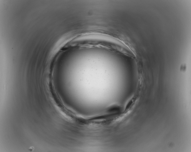 X0000090750101200708172035