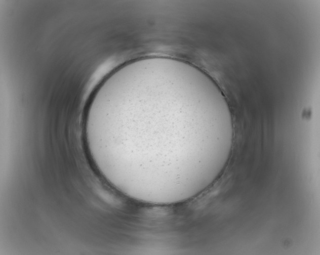 X0000090750102200708172035