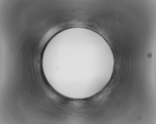 X0000090750103200708172035