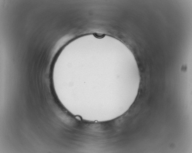 X0000090750104200708172035