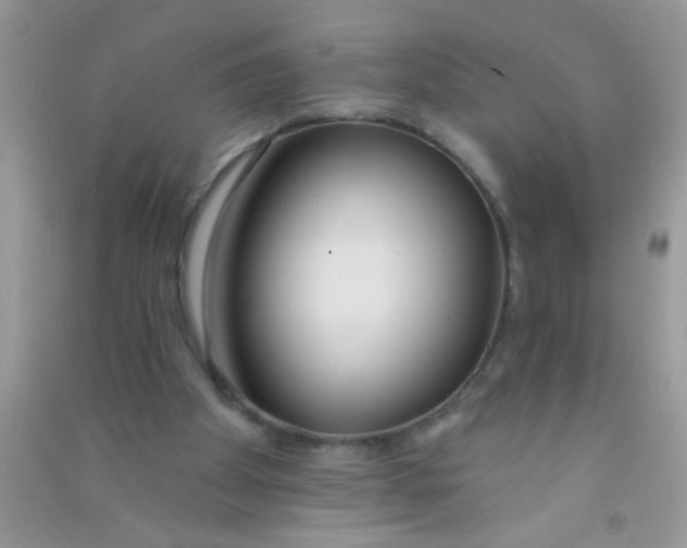 X0000090750105200708172035