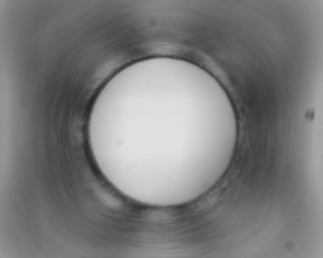 X0000090750106200708172035