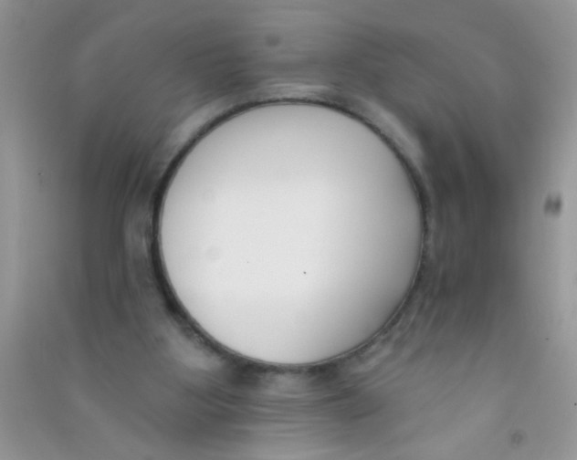 X0000090750107200708172035