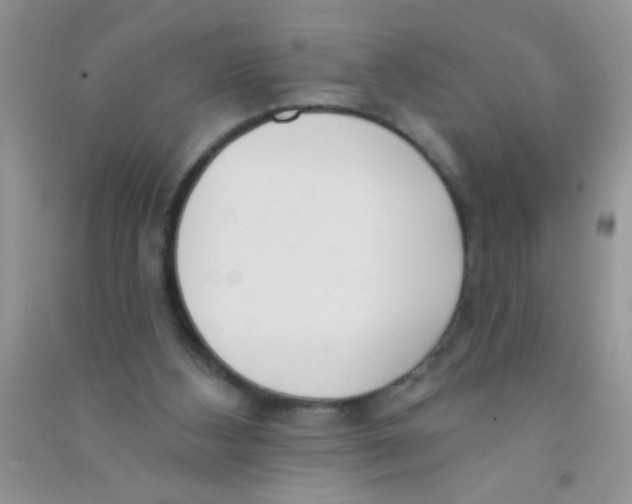 X0000090750108200708172035