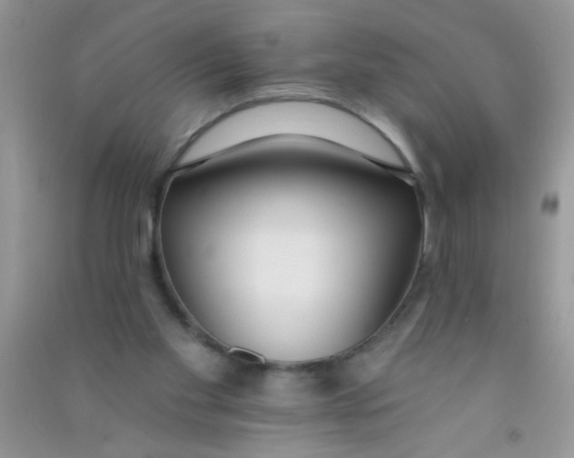 X0000090750109200708172035