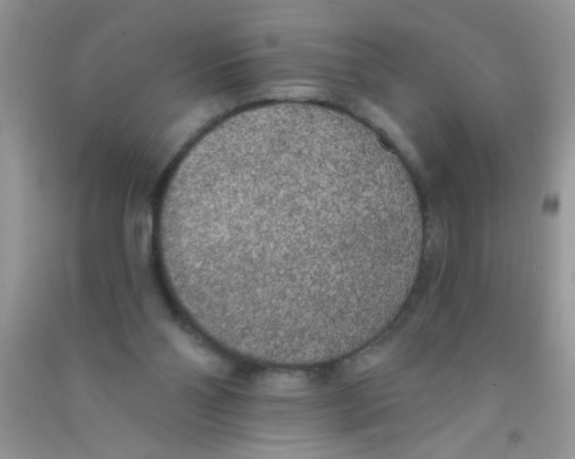 X0000090750110200708172035