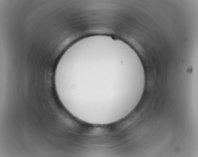 X0000090750111200708172035