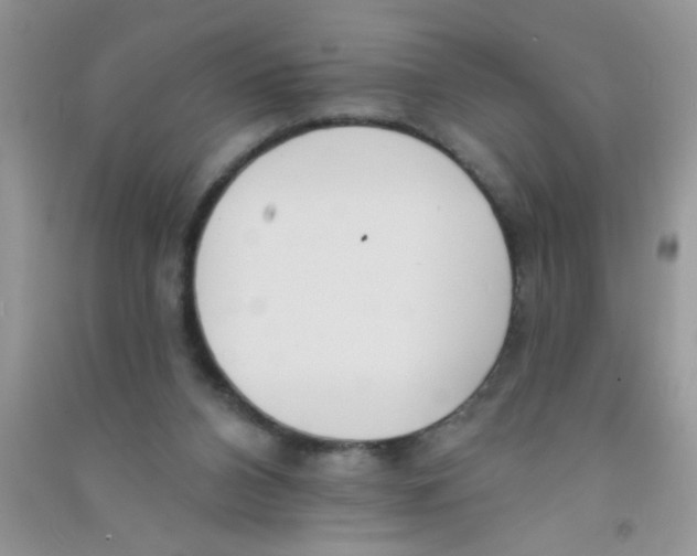 X0000090750112200708172035