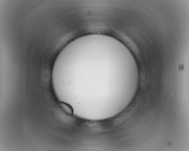 X0000090750113200708172035