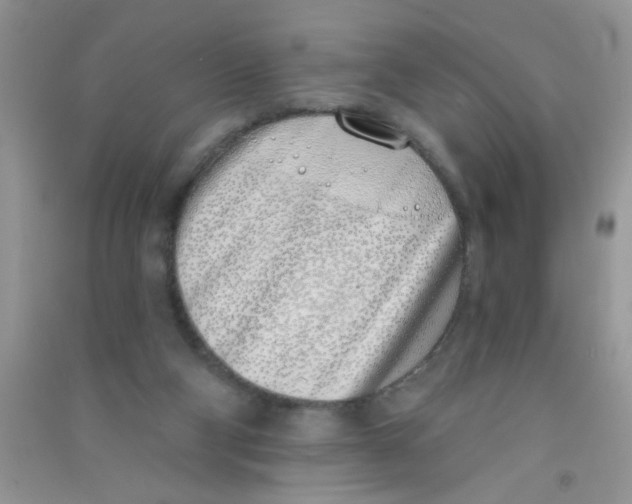 X0000090750114200708172035