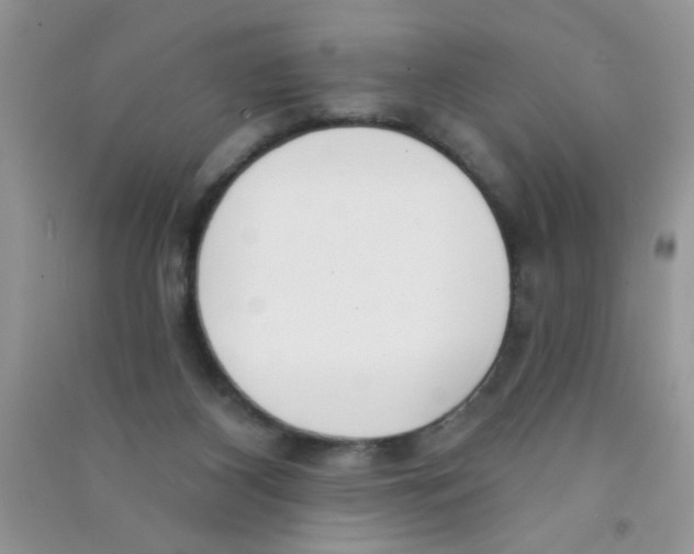 X0000090750116200708172035